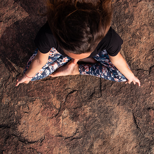 Meditation and Biology