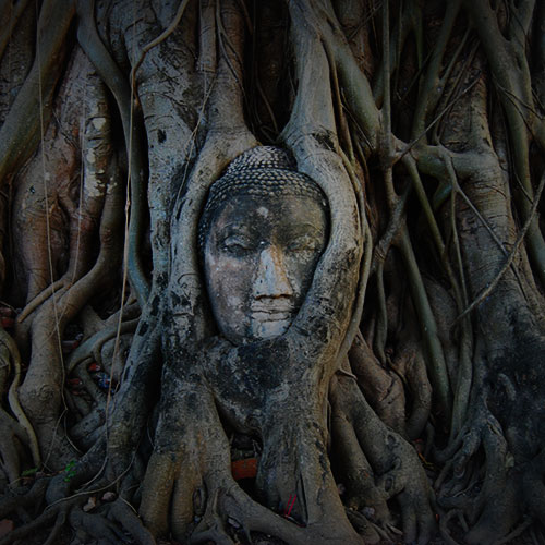 Roots of yoga #01 • āsana (posture)