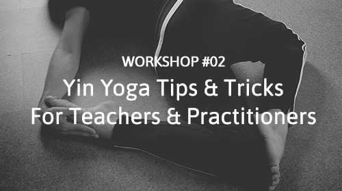 Yin Yoga Workshop #02 • Tips & Tricks for Teachers & Practitioners