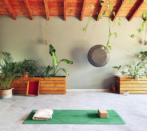 Yoga Retreats and Yin Yoga Teacher Training 2023