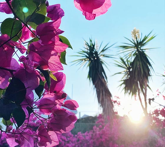 Yoga & Meditation Retreats in Corfu, Greece