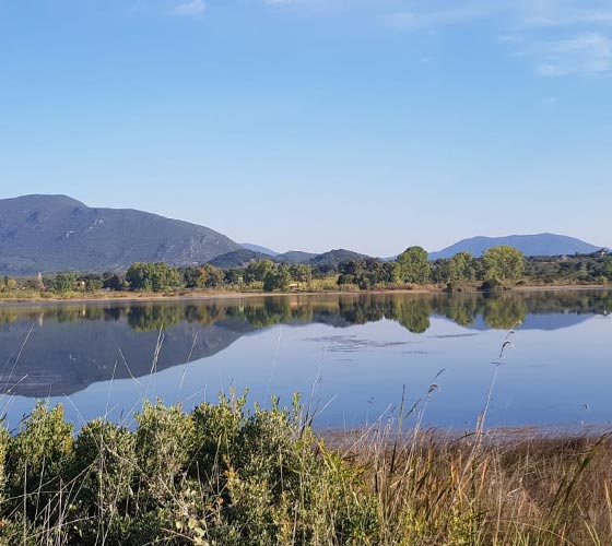 Yoga & Meditation Retreats in Corfu, Greece