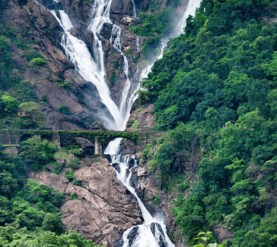 Yoga Retreat in Goa January 2025