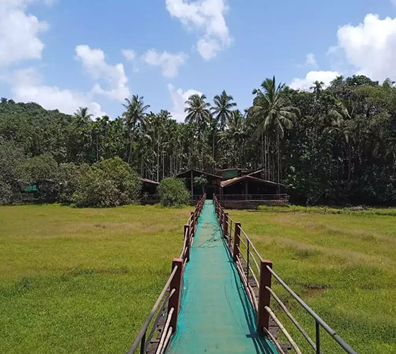 YYoga Retreat in Goa January 2025