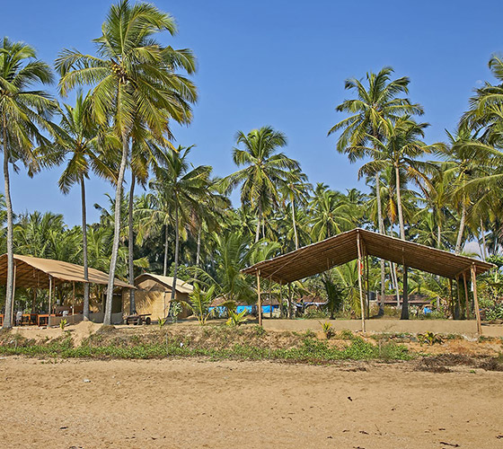 Yoga Retreat in Goa January 2025