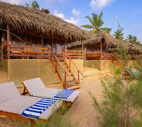 Yoga Retreat in Goa January 2025