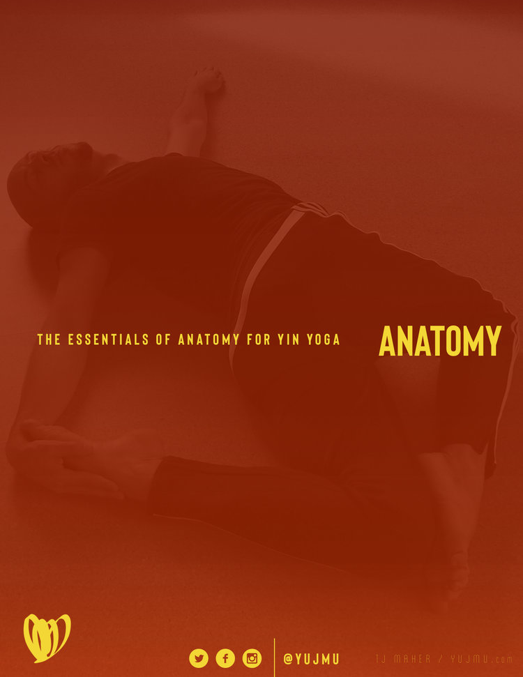 Yin Yoga